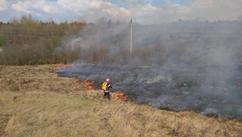 10 hectare de vegetație, mistuite de un incendiu produs în Ștei