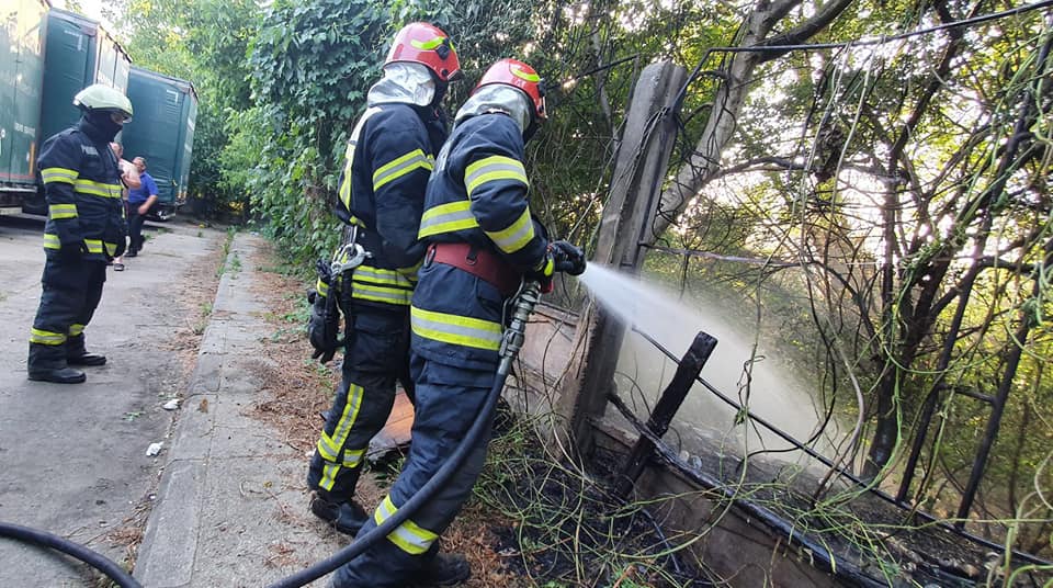 Incendiu de vegetație uscată în județul Satu Mare