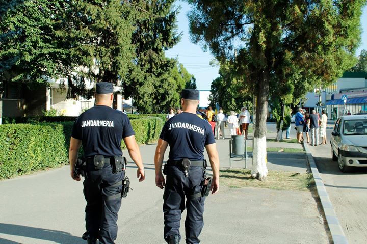 Bărbat din Deva amendat de jandarmi, pentru că și-a lăsat câinele nesupravegheat pe stradă