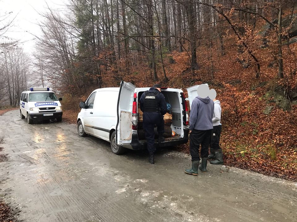 Material lemnos confiscat și amenzi aplicate de jandarmii din Petroșani