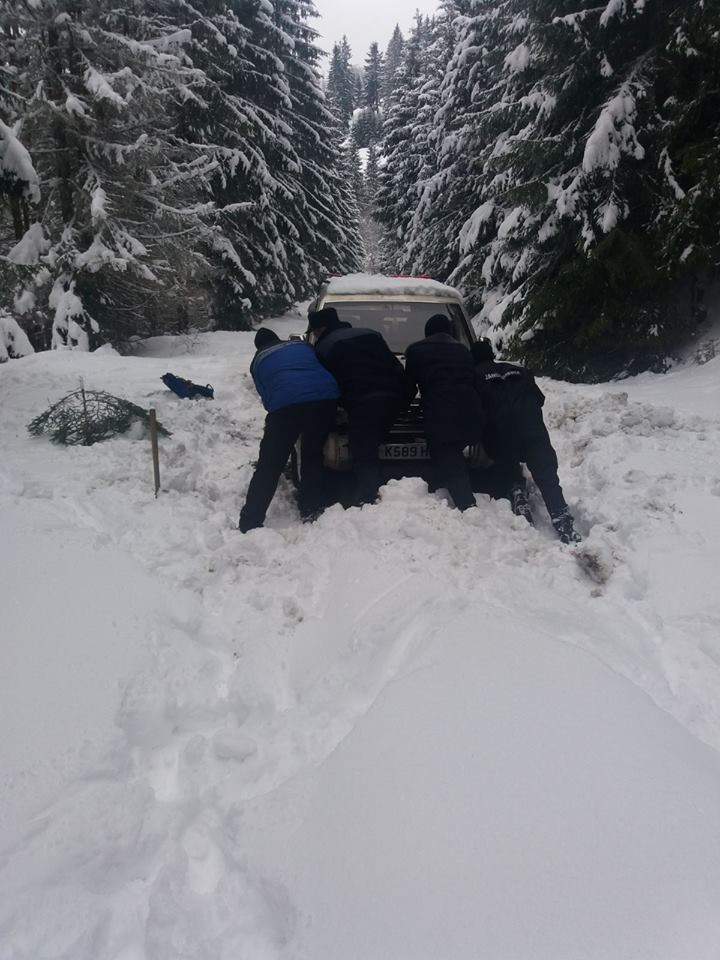 Jandarmii montani din Rodna au ajutat un șofer care a rămas înzăpezit pe drumul forestier Cobășelu