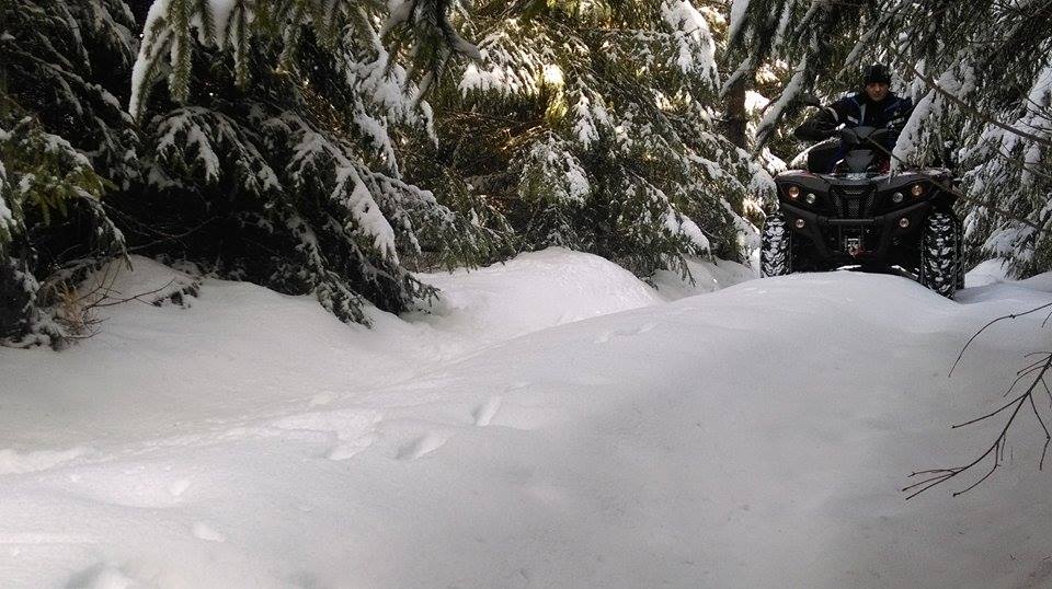 Bărbat rătăcit în pădure, salvat de jandarmii montani din Piatra Fîntînele