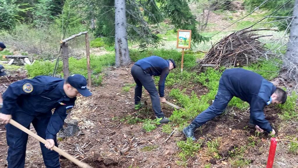 Jandarmii maramureșeni au plantat puieți