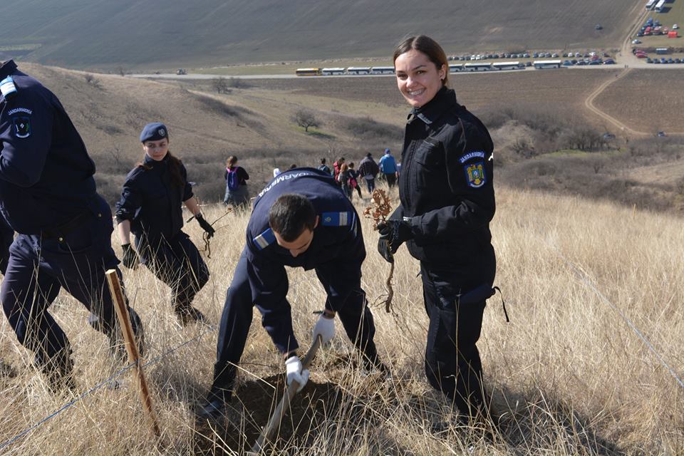 Jandarmii bistrițeni au ajutat la împădurirea a 10 ha de teren
