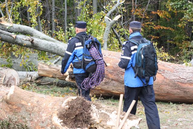 7 ani de la înființarea Grupei de Supraveghere şi Intervenţie Târgu Lăpuş