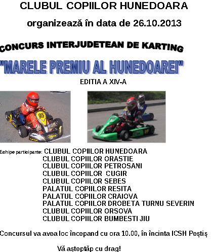 Concurs de karting la Hunedoara