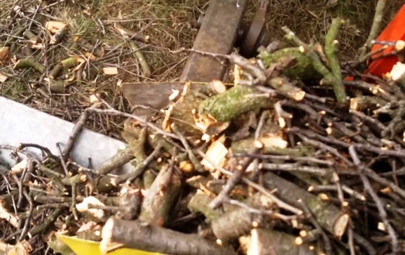 Se scoate la vânzare masă lemnoasă din fondul forestier al Primăriei Oradea