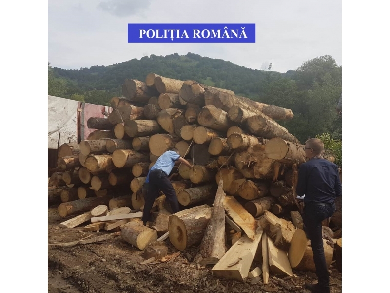 Peste 19 mc de material lemnos ridicat de polițiștii din Rodna, în vederea confiscării