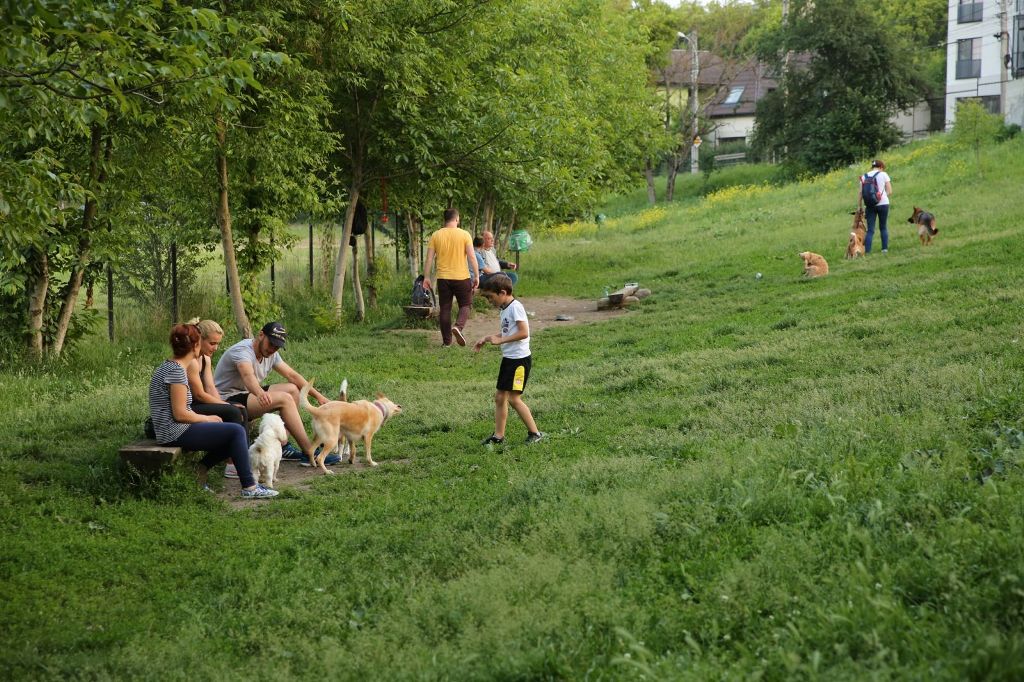 Primăria Cluj-Napoca a amenajat noi locuri de joacă pentru câini