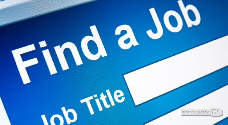 8.047 locuri de muncă vacante în data de 16 ianuarie 2014 si 319 Satu-Mare, potrivit ANOFM
