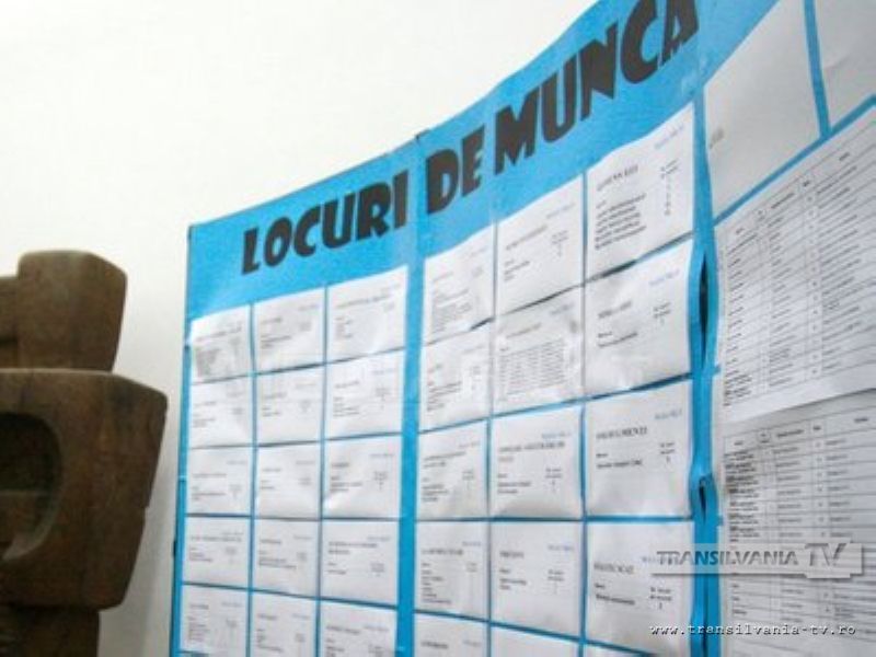 288 locuri de muncă vacante în Satu Mare în data de 14 ianuarie 2014 potrivit ANOFM
