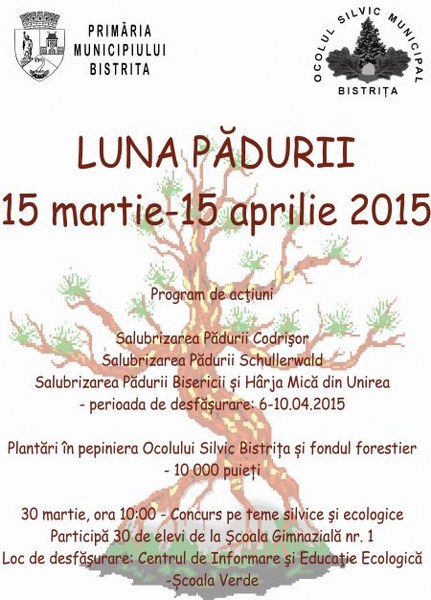BISTRIȚA: Zece mii de puieți vor fi plantați în ,,Luna Pădurii”