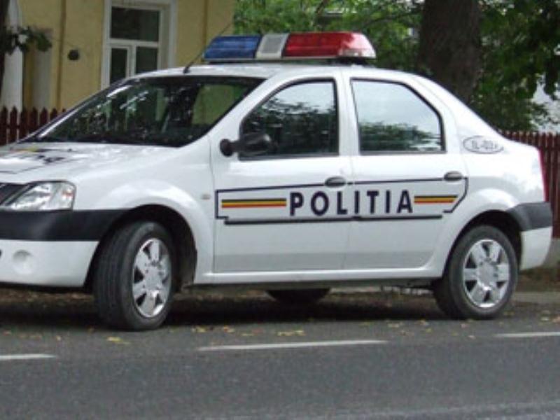 Persoana care a distrus mai multe anvelope în Satulung, mirosită de câinele poliţist Teba