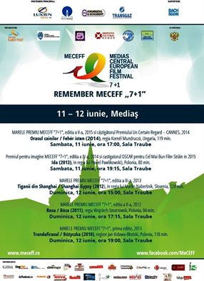 Mediaș Central European Film Festival “7+1” (MECEFF “7+1”)