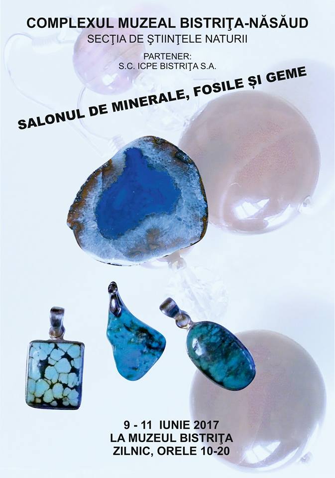Salonul de minerale, fosile şi geme la Bistrița