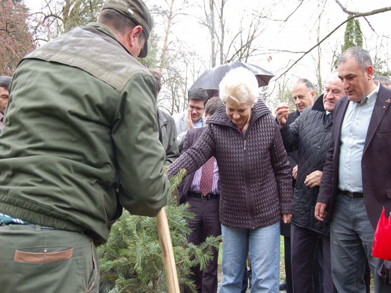 Doina Pană a participat la o acțiune de împădurire la Sângeorz-Băi
