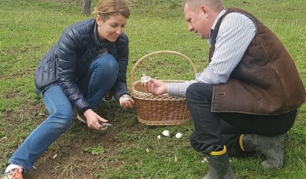 Consilierul Micea Trifu a comandat ,,Ghidul culegatorului de ciuperci”, editia pentru copii!