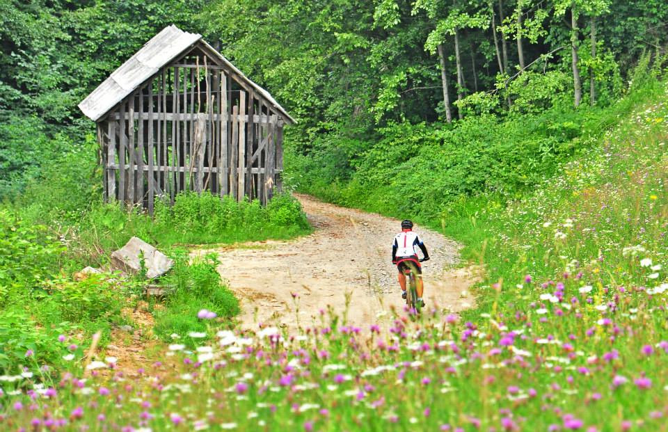 MTB Maraton Baia Mare: Premii în bani la cel mai dificil concurs de ciclism din Maramureș