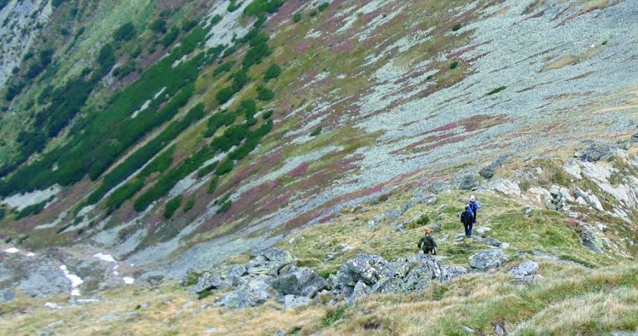 Jandarmii montani din Borşa, participanţi la acţiunea de evaluare a caprelor negre din Munţii Rodnei