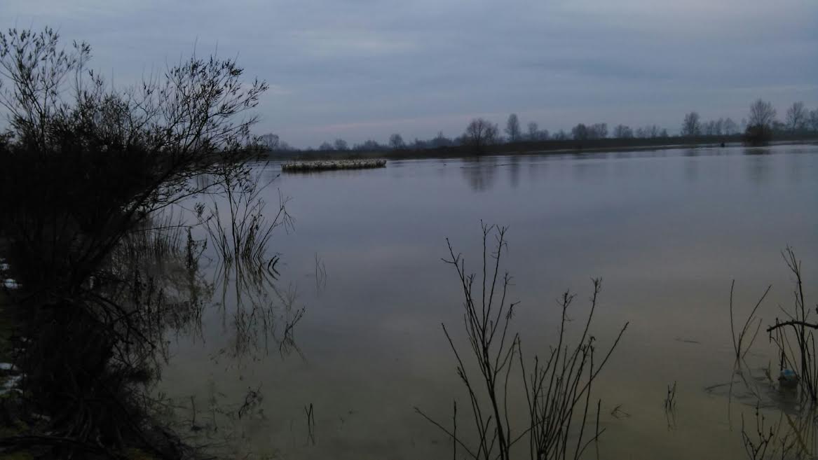 400 de oi salvate de pompieri de la înec în Săbișa