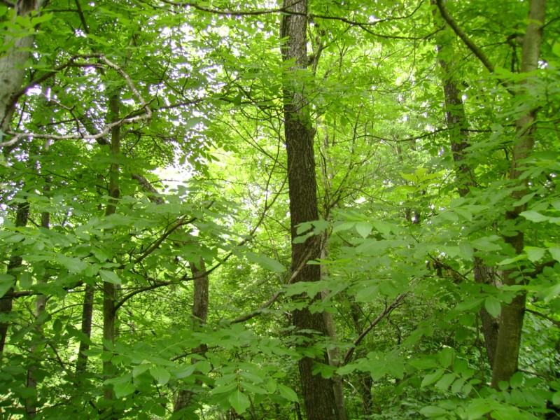 BISTRIȚA: Întâlnire între APM, Jandarmerie și Administrația Parcului Național Munții Rodnei