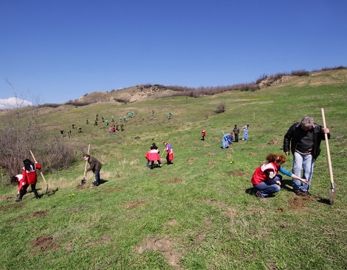 Începe acțiunea de plantare în Pădurea Clujenilor