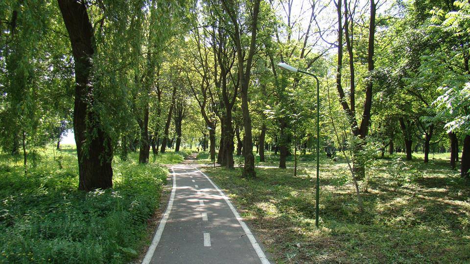 Lucrări de întreținere la Parcul Municipal din Câmpia Turzii