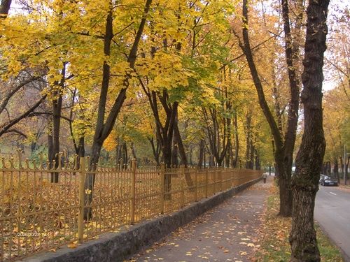 Acțiune de ecologizare a Parcului Corvin din Hunedoara