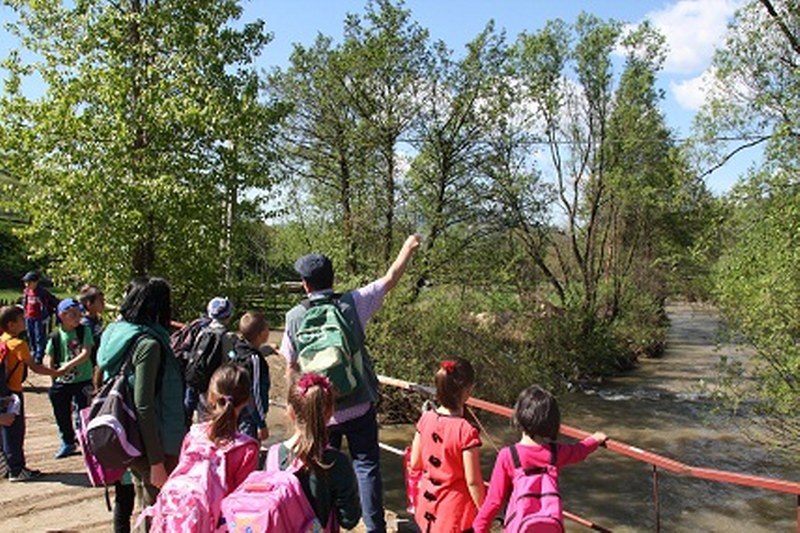 Ziua Păsărilor Migratoare a fost marcată la două școli din Bistrița-Năsăud