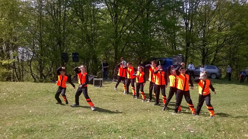 Copiii și tinerii din Bistrița au demonstrat că au talent cu carul