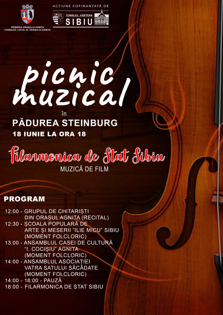 Picnic muzical la Agnita