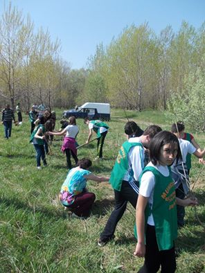 Campanie de plantare de arbori în Câmpia Turzii (11 noiembrie, ora 13)