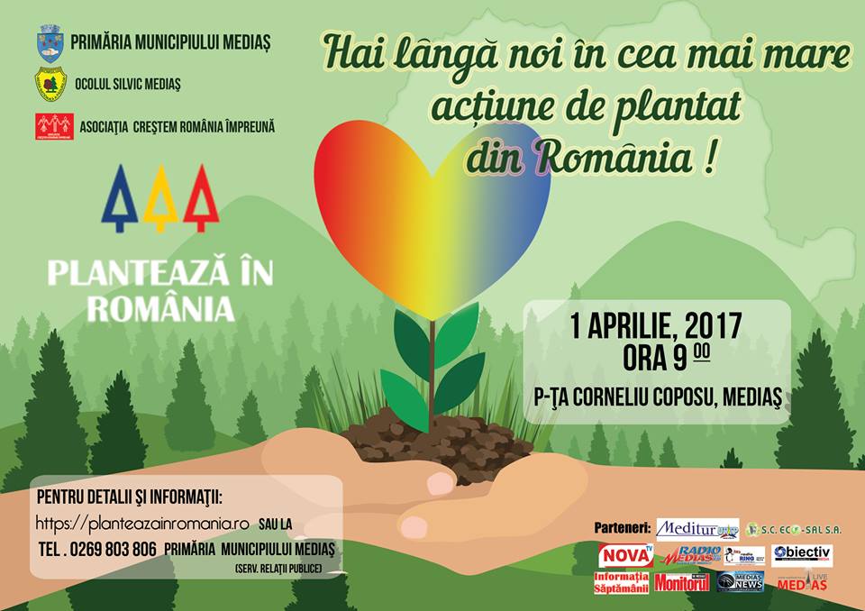 Mediaș: Acțiune de plantare de puieți forestieri în zona Graia de Sus