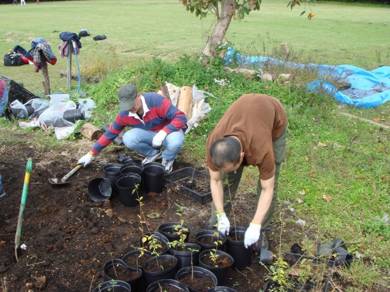 Acțiune de plantare de puieți la Aiud