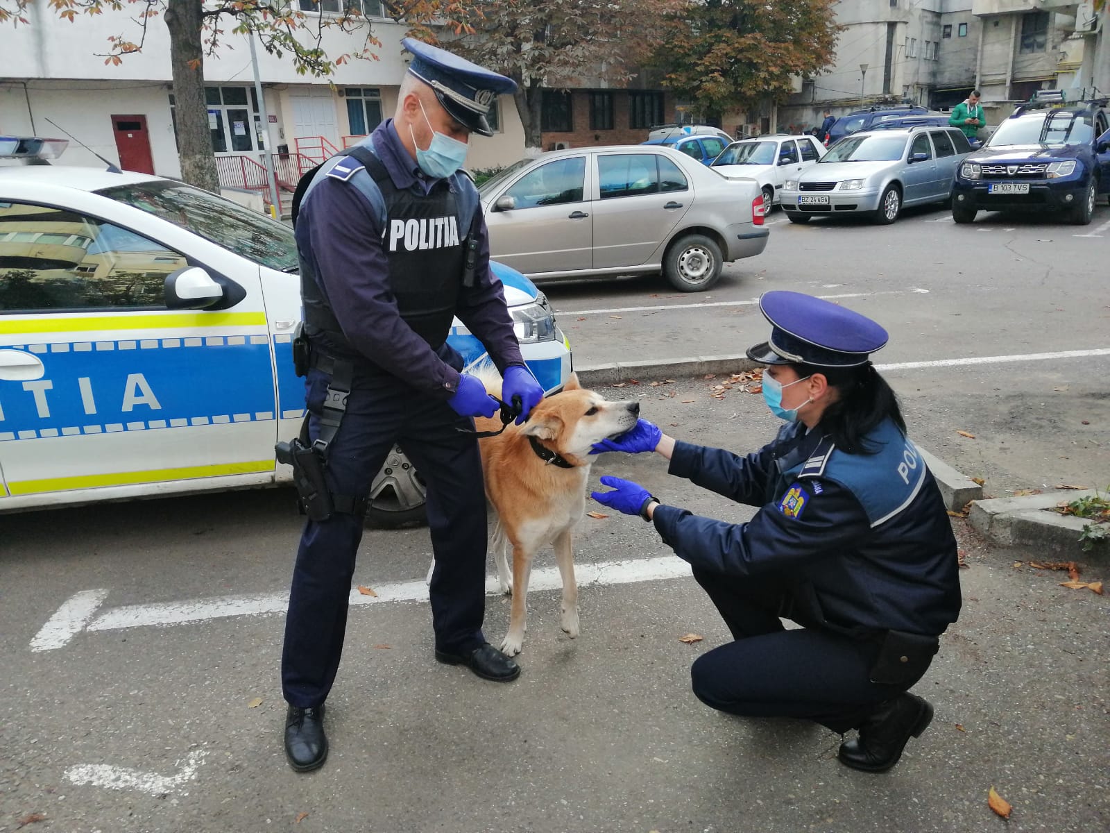 POLIȚIȘTII BIROULUI PENTRU PROTECȚIA ANIMALELOR ÎȘI DESFĂȘOARĂ ACTIVITATEA ÎNTR-O LOCAȚIE NOUĂ, LA CIUGUD