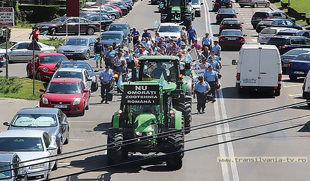 Fermierii din Satu Mare au protestat pentru a-și manifesta nemulțumirea cu privire la întârzierile înregistrate la plata subvențiilor