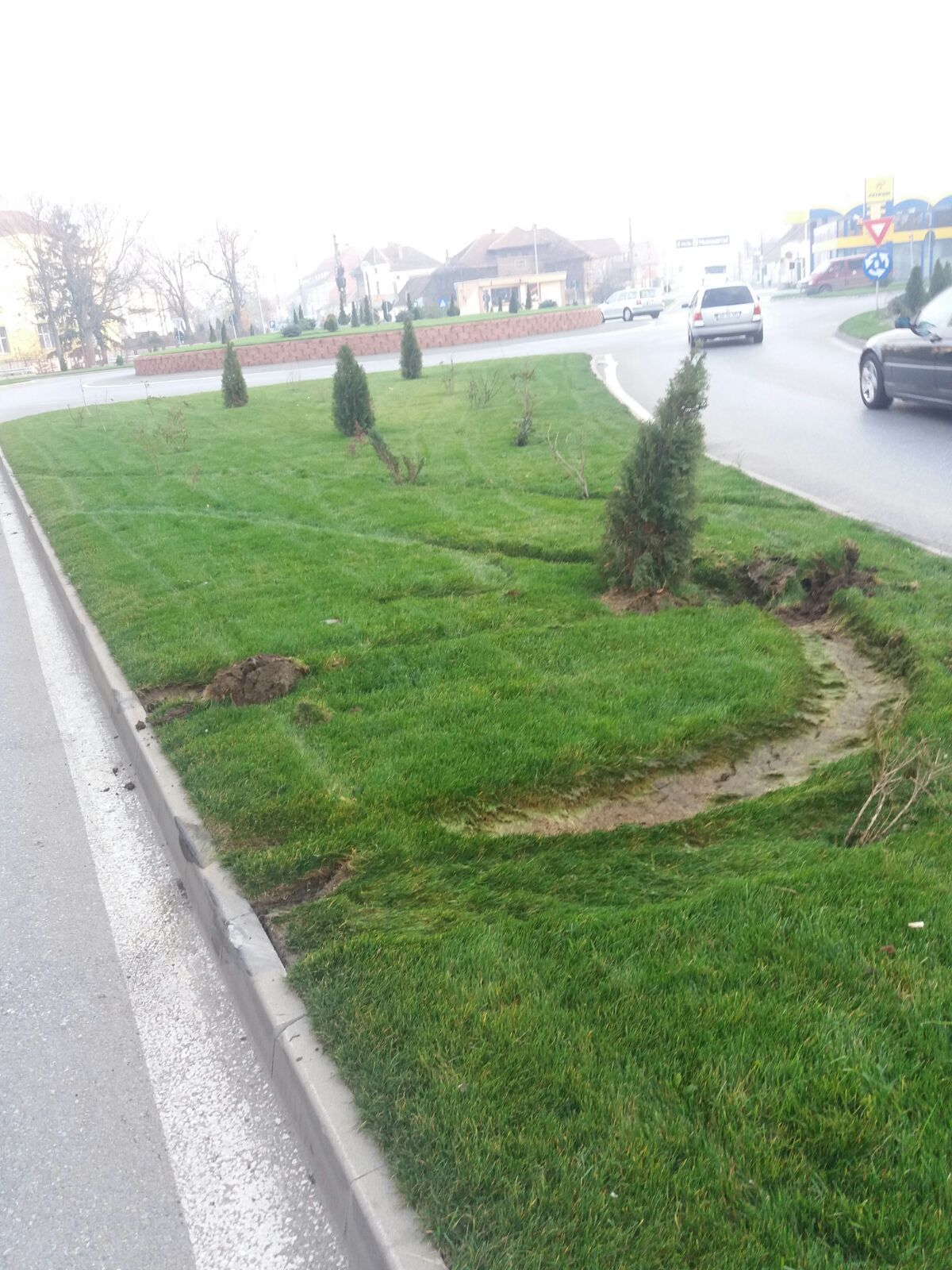 Sebesul, oras frumos, pacat ca-i locuit (de astfel de specimene)!