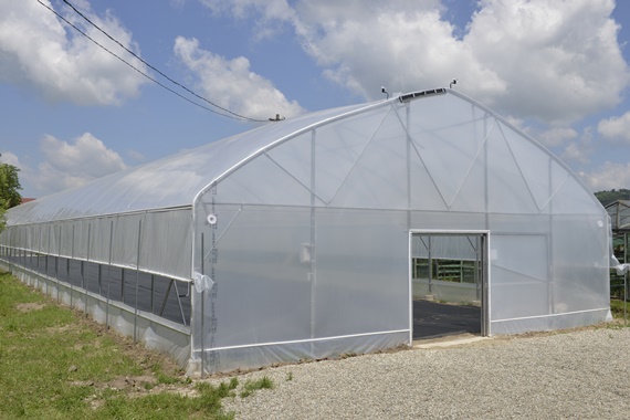 Sibiu: Seră modulară pentru pregătirea florilor şi arbuştilor