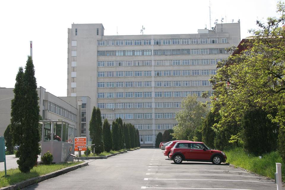 Terapie prin Artă în spitalele din Cluj-Napoca