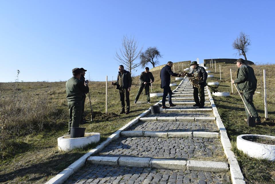 30 de puieți de stejar roșu plantați în jurul troiței de la Șelimbăr