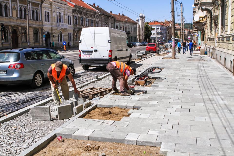 162 de arbori vor fi replantați pe strada Horea din Cluj Napoca