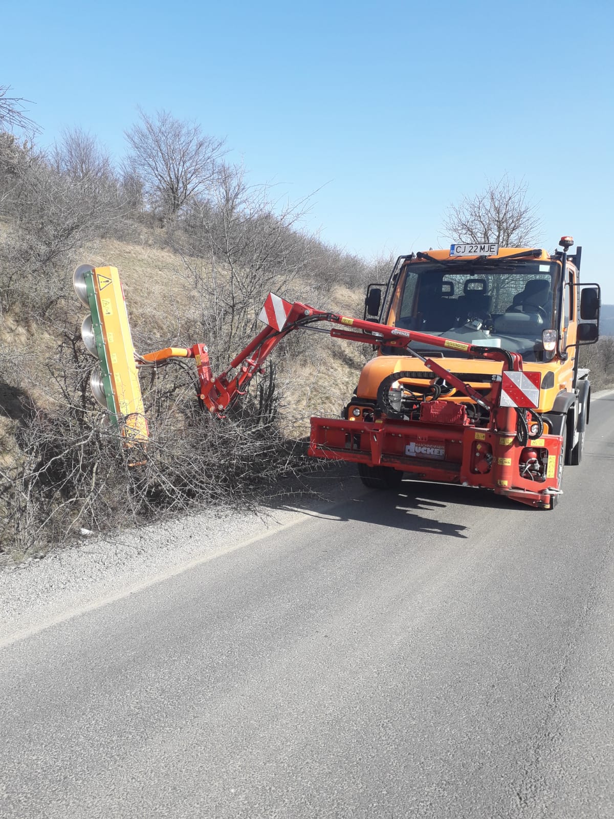 CJ Cluj a demarat lucrările de toaletare a arborilor de pe marginea drumurilor județene