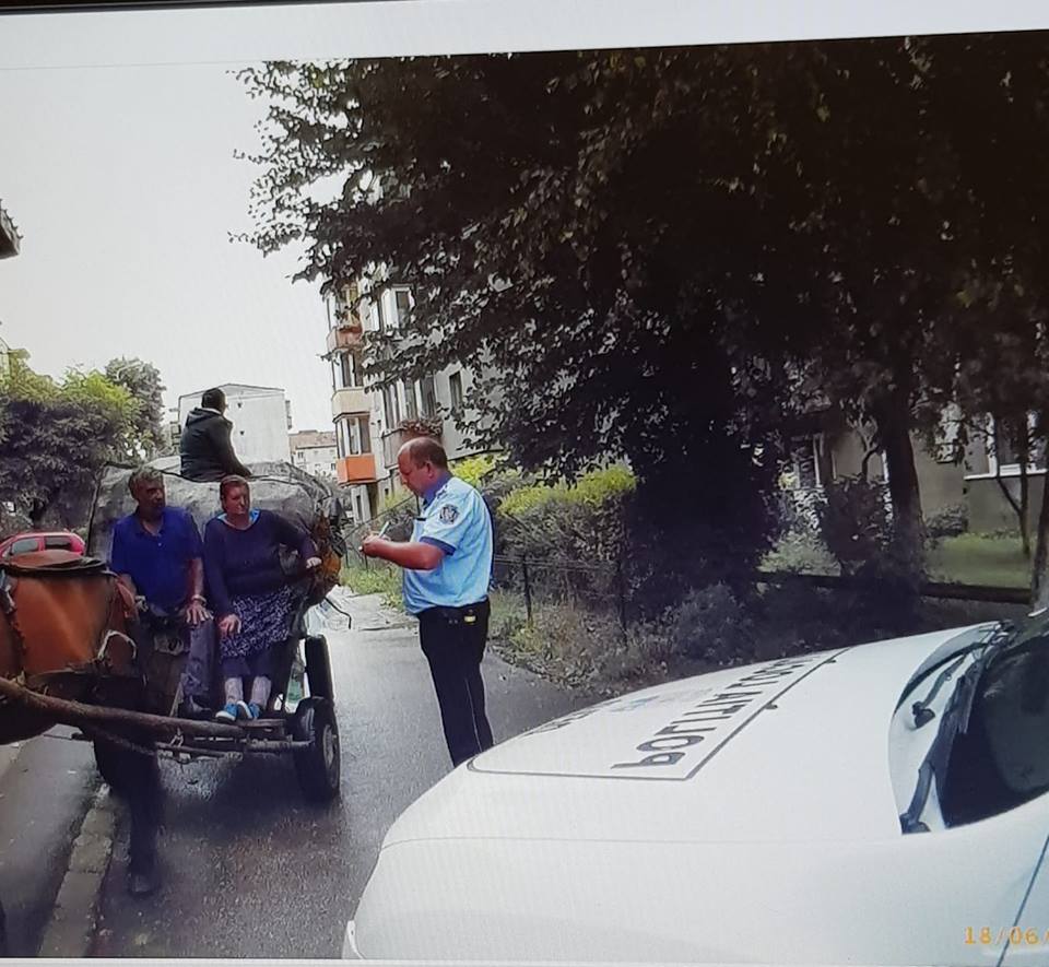 Poliția Locală Deva a demarat o campanie împotriva celor care împrăștie gunoaiele din tomberoane