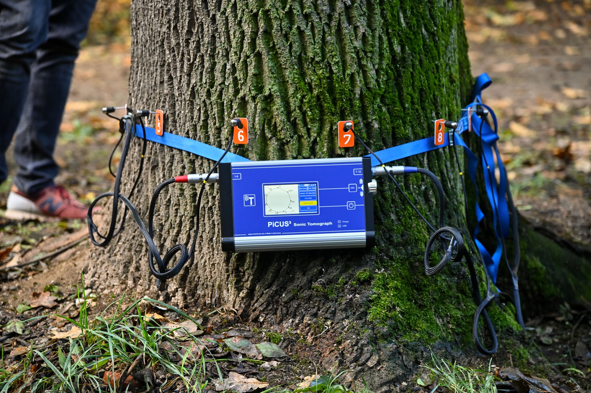 Tomograf pentru arbori în dotarea Primăriei Sibiu