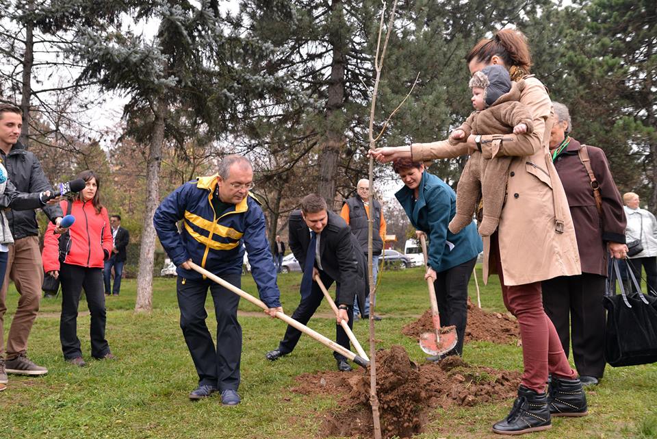 Primăria Cluj-Napoca continuă plantările în cadrul programului “Un copil, un arbore”