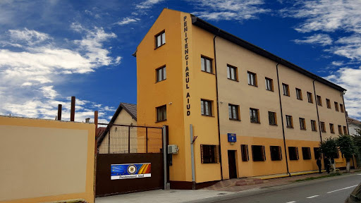Barbati dati in urmarire depusi la Penitenciarul Aiud