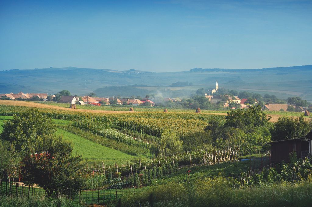 15 primării din județul Sibiu vor beneficia de Registru Agricol Electronic şi impozite şi taxe