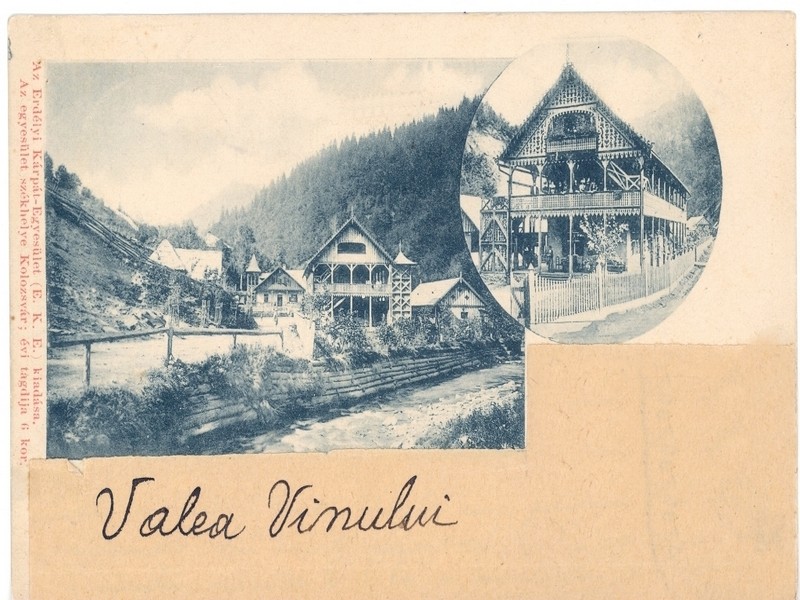 VALEA VINULUI: Tabăra culturală „Realism Magic”