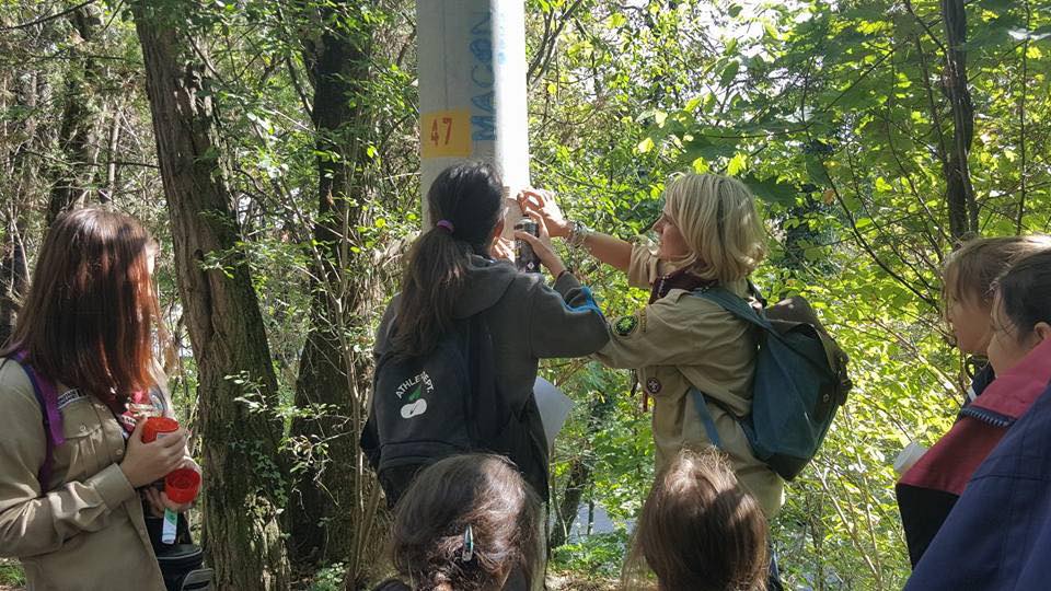 Lecție de voluntariat la Deva