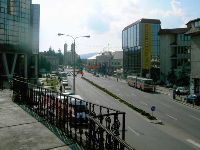 Zalău: Beneficiarii PEAD primesc săptămâna viitoare miere de albine